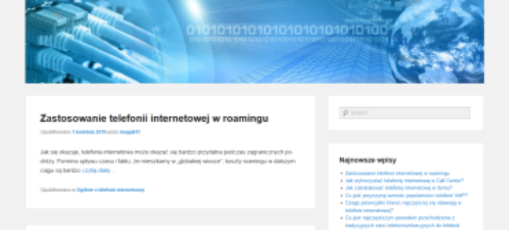 Telefonia internetowa